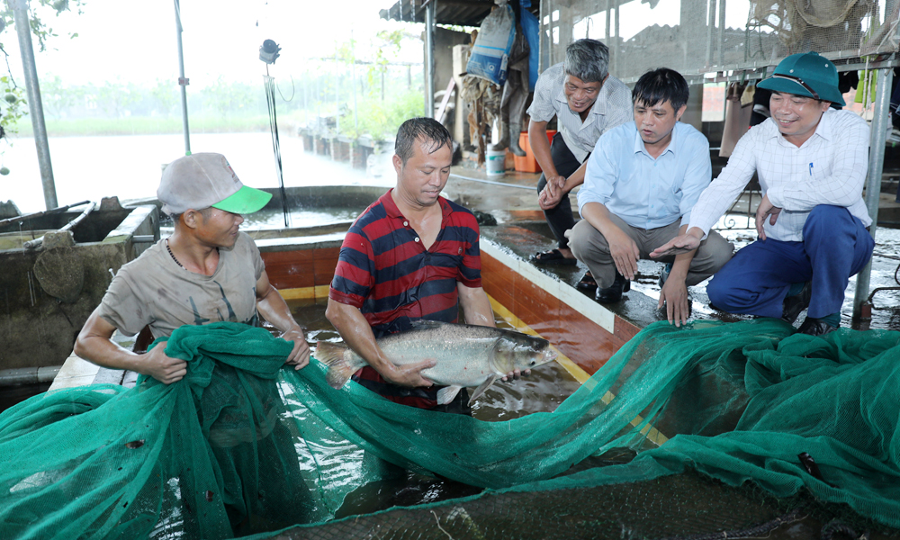 Xã Hương Mai (Việt Yên): Phát huy thế mạnh, hướng tới xã kiểu mẫu 